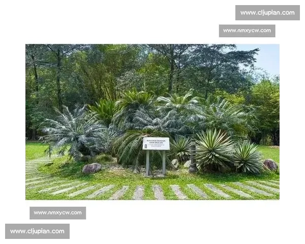 金杯赛非洲独苗：南非 2005 年的跨洋之旅