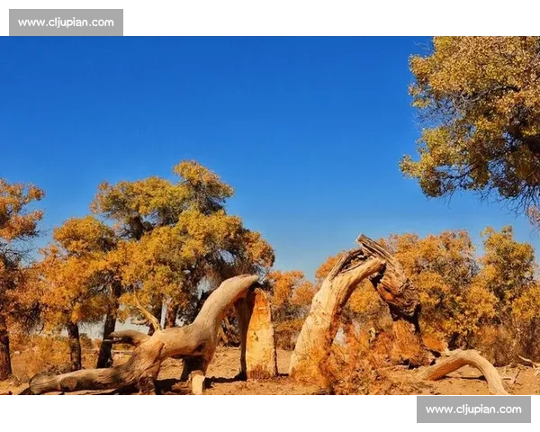 洪流中的脊梁:担当与温情铸就生命防线 洪流中的脊梁:担当与温情铸就生命防线